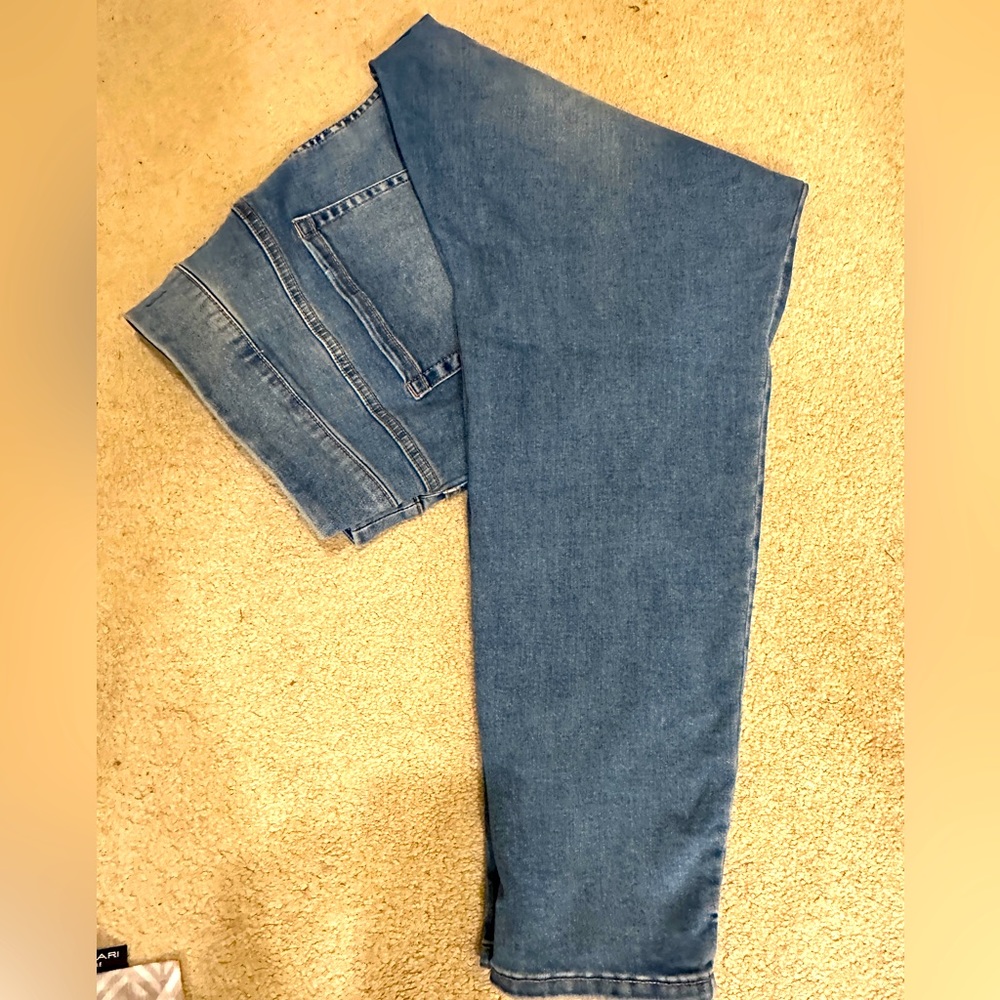 Lane Bryant pull on jeggings